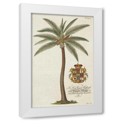 Coconut Palm White Modern Wood Framed Art Print by Ehret, Georg