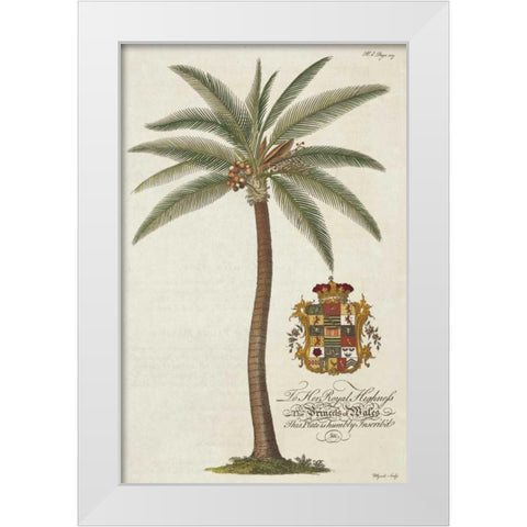 Coconut Palm White Modern Wood Framed Art Print by Ehret, Georg