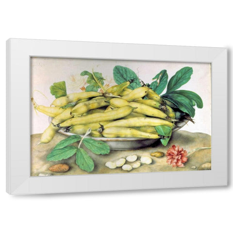 Dish of Broad Beans White Modern Wood Framed Art Print by Garzoni, Giovanna