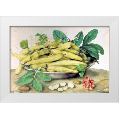 Dish of Broad Beans White Modern Wood Framed Art Print by Garzoni, Giovanna