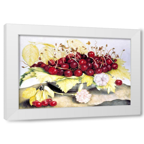Dish of Cherries and Carnation White Modern Wood Framed Art Print by Garzoni, Giovanna