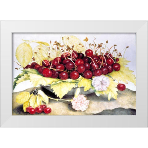 Dish of Cherries and Carnation White Modern Wood Framed Art Print by Garzoni, Giovanna