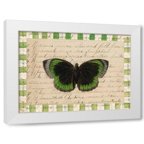 Butterfly Collage, Hiawatha White Modern Wood Framed Art Print by Gould-Porter, William