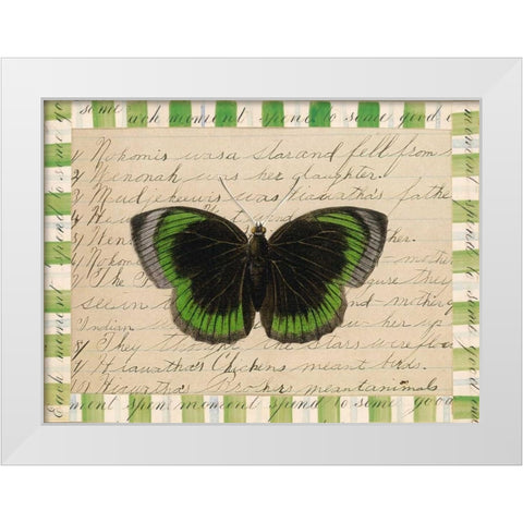 Butterfly Collage, Hiawatha White Modern Wood Framed Art Print by Gould-Porter, William