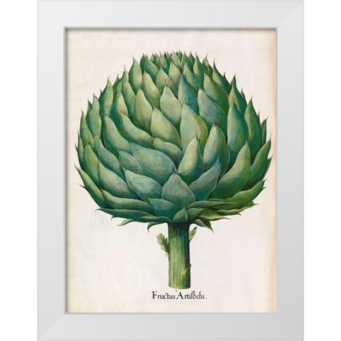 Artichoke White Modern Wood Framed Art Print by Besler, Basilius