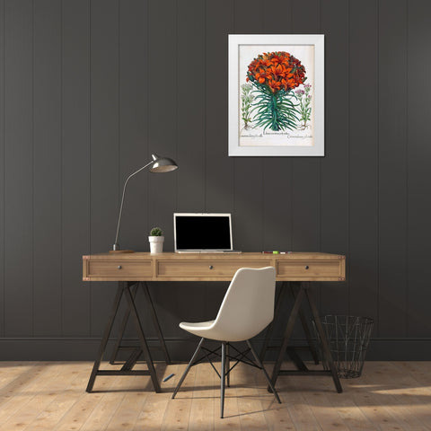 Lily, Polyanthus White Modern Wood Framed Art Print by Besler, Basilius
