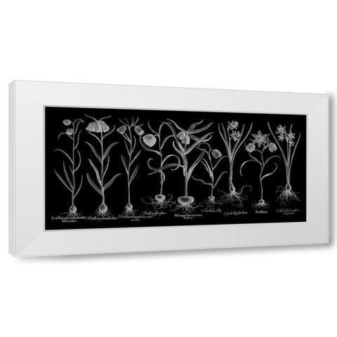Fritillariae White Modern Wood Framed Art Print by Besler, Basilius