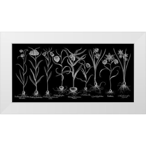 Fritillariae White Modern Wood Framed Art Print by Besler, Basilius