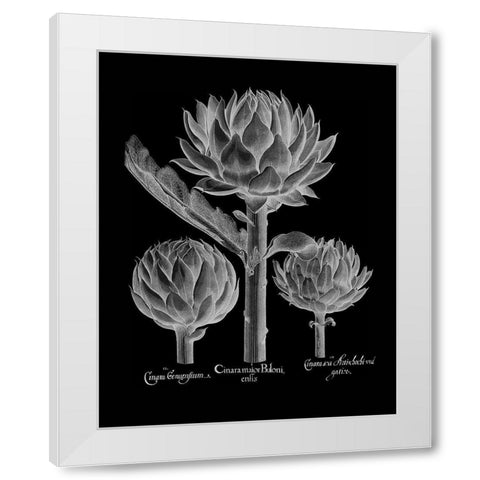 Cinera Boloni White Modern Wood Framed Art Print by Besler, Basilius