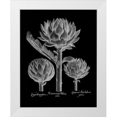 Cinera Boloni White Modern Wood Framed Art Print by Besler, Basilius