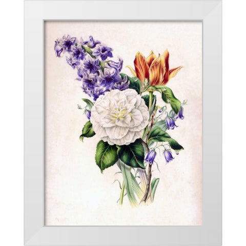 Hyacinth White Modern Wood Framed Art Print by Andrews, James