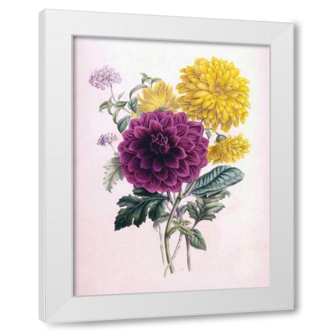 Chrysanthemum White Modern Wood Framed Art Print by Andrews, James