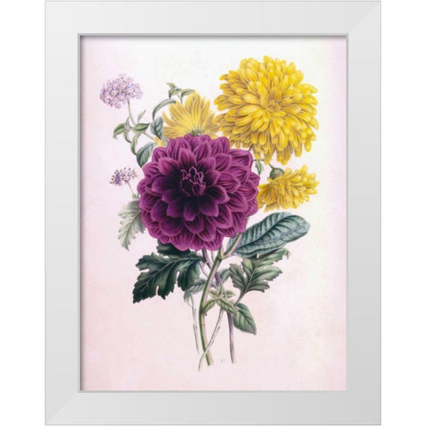 Chrysanthemum White Modern Wood Framed Art Print by Andrews, James
