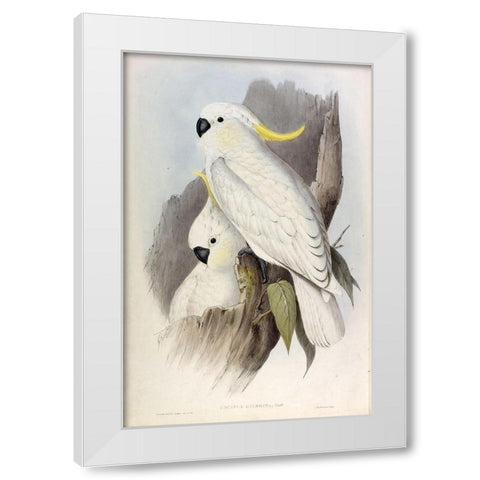 Crested Cockatoo White Modern Wood Framed Art Print by Gould, John