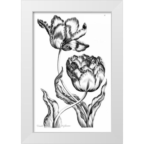 Double Oriflamme White Modern Wood Framed Art Print by Hill, John