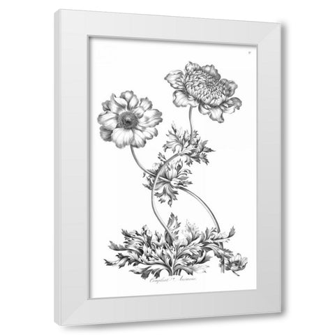 Complete Anemony White Modern Wood Framed Art Print by Hill, John
