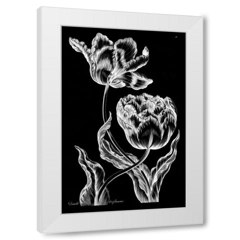 Double Oriflamme White Modern Wood Framed Art Print by Hill, John
