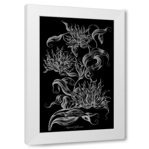 Imperial Gloriosa  White Modern Wood Framed Art Print by Hill, John
