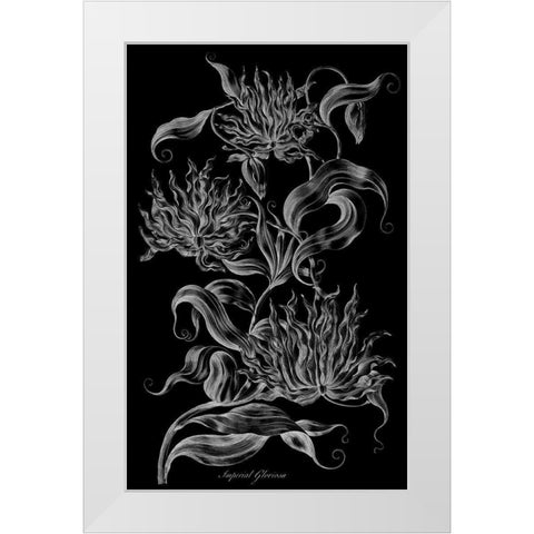 Imperial Gloriosa  White Modern Wood Framed Art Print by Hill, John