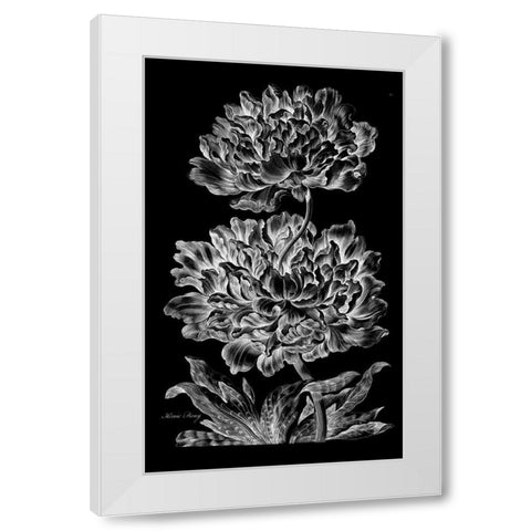 Heroic Peony White Modern Wood Framed Art Print by Hill, John