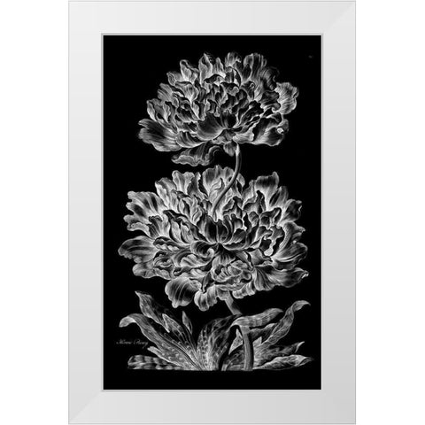 Heroic Peony White Modern Wood Framed Art Print by Hill, John
