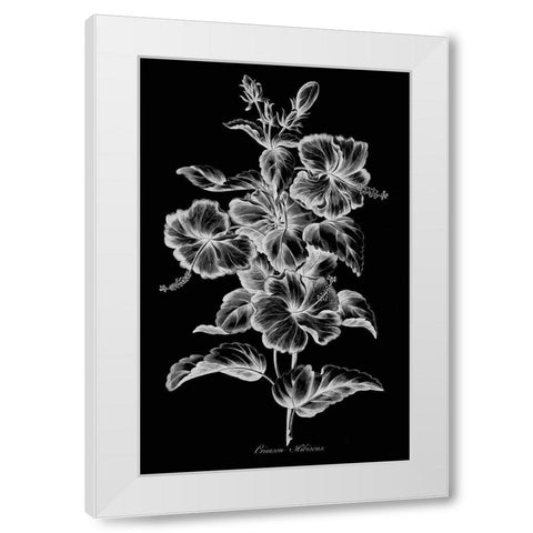 Crimson Hibiscus White Modern Wood Framed Art Print by Hill, John