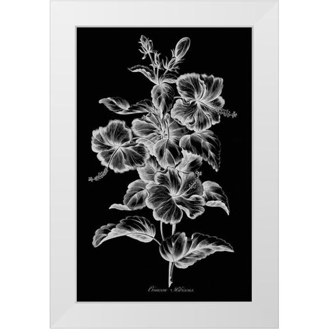 Crimson Hibiscus White Modern Wood Framed Art Print by Hill, John