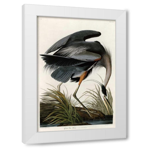 Great Blue Heron White Modern Wood Framed Art Print by Audubon, John James