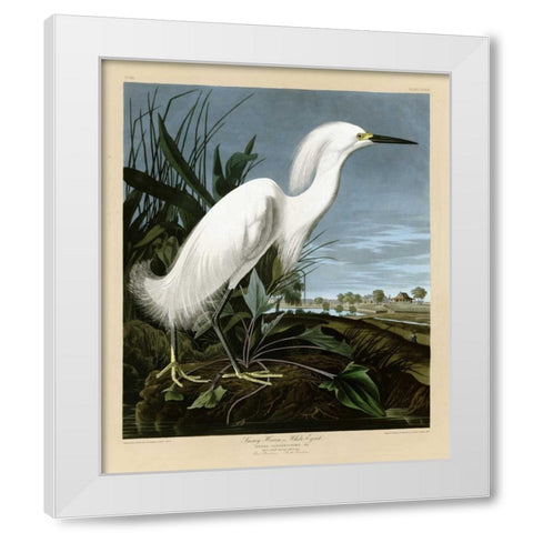 Snowy Heron or White Egret White Modern Wood Framed Art Print by Audubon, John James