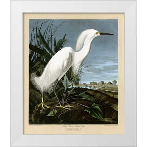 Snowy Heron or White Egret White Modern Wood Framed Art Print by Audubon, John James