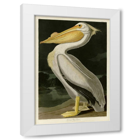 American White Pelican White Modern Wood Framed Art Print by Audubon, John James