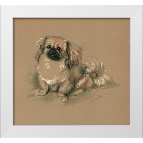 Pekinese, Koko White Modern Wood Framed Art Print by Dawson, Lucy