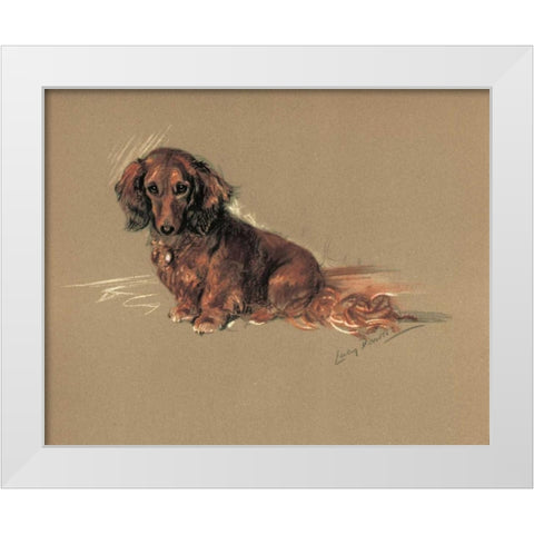 Daschund, Robin White Modern Wood Framed Art Print by Dawson, Lucy