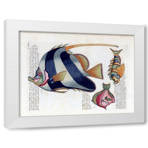 De Groote Tafel-Visch White Modern Wood Framed Art Print by Renard, Louis