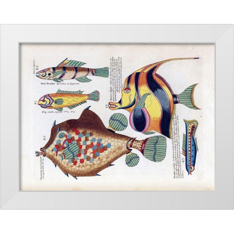 Tompombo White Modern Wood Framed Art Print by Renard, Louis