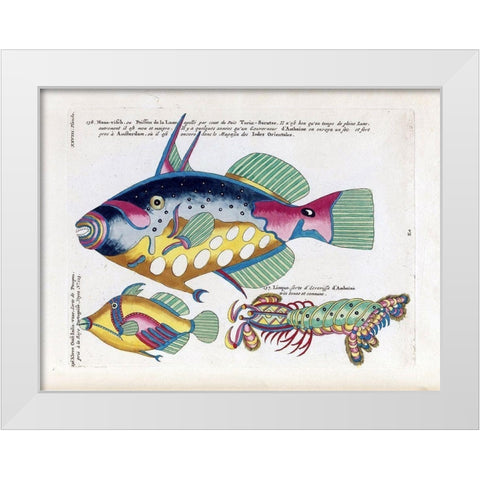 Poisson de la Lune White Modern Wood Framed Art Print by Renard, Louis