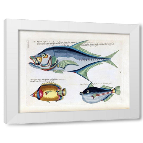 Babara White Modern Wood Framed Art Print by Renard, Louis