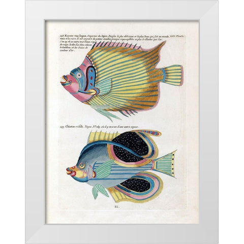 Keyser van Japan White Modern Wood Framed Art Print by Renard, Louis