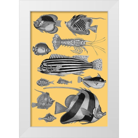 Tropical Fish Collage 1-Yellow Background White Modern Wood Framed Art Print by Renard, Louis
