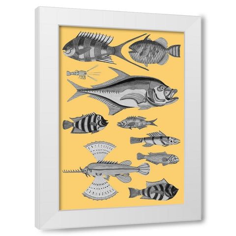 Tropical Fish Collage 2-Yellow Background White Modern Wood Framed Art Print by Renard, Louis