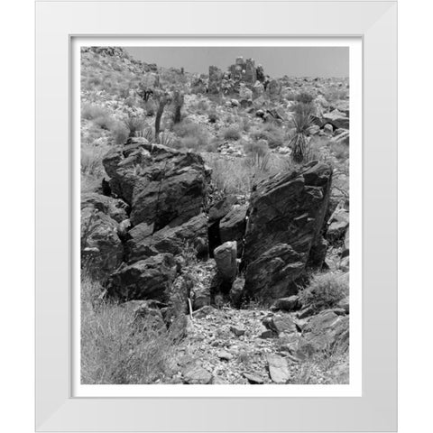 Twentynine Palms, San Bernadino, c1910 White Modern Wood Framed Art Print by Anonymous