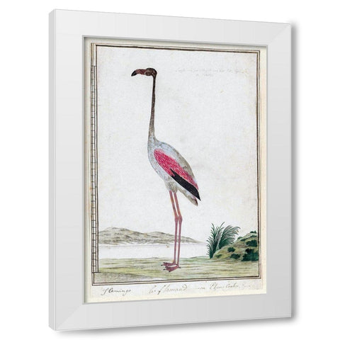 Flamingo White Modern Wood Framed Art Print by Gordon, Robert James