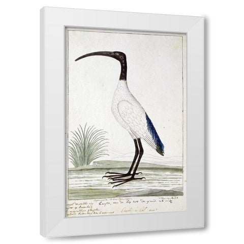 White Bird White Modern Wood Framed Art Print by Gordon, Robert James