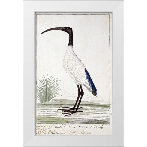 White Bird White Modern Wood Framed Art Print by Gordon, Robert James