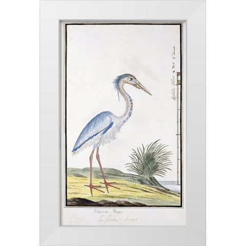 Heron White Modern Wood Framed Art Print by Gordon, Robert James