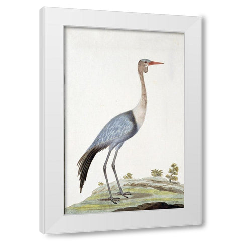 Crane White Modern Wood Framed Art Print by Gordon, Robert James