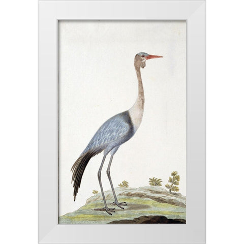 Crane White Modern Wood Framed Art Print by Gordon, Robert James
