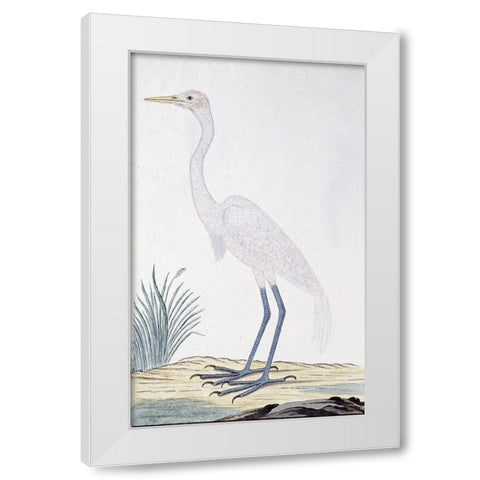 Egret White Modern Wood Framed Art Print by Gordon, Robert James