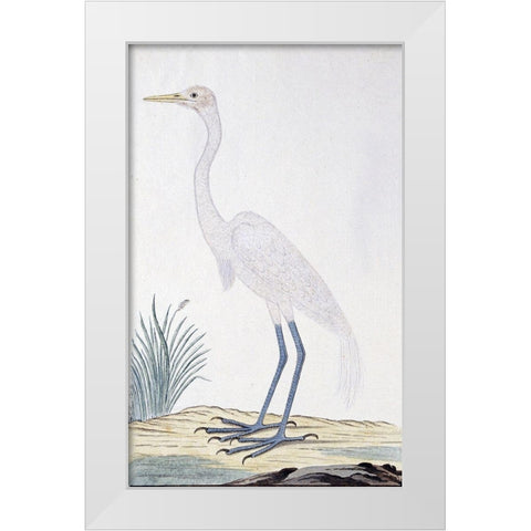 Egret White Modern Wood Framed Art Print by Gordon, Robert James
