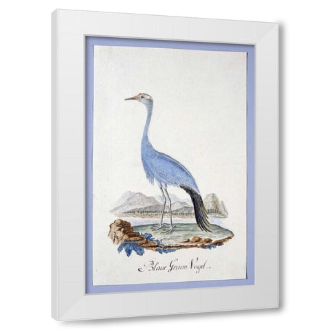 Blue Bird White Modern Wood Framed Art Print by Gordon, Robert J.